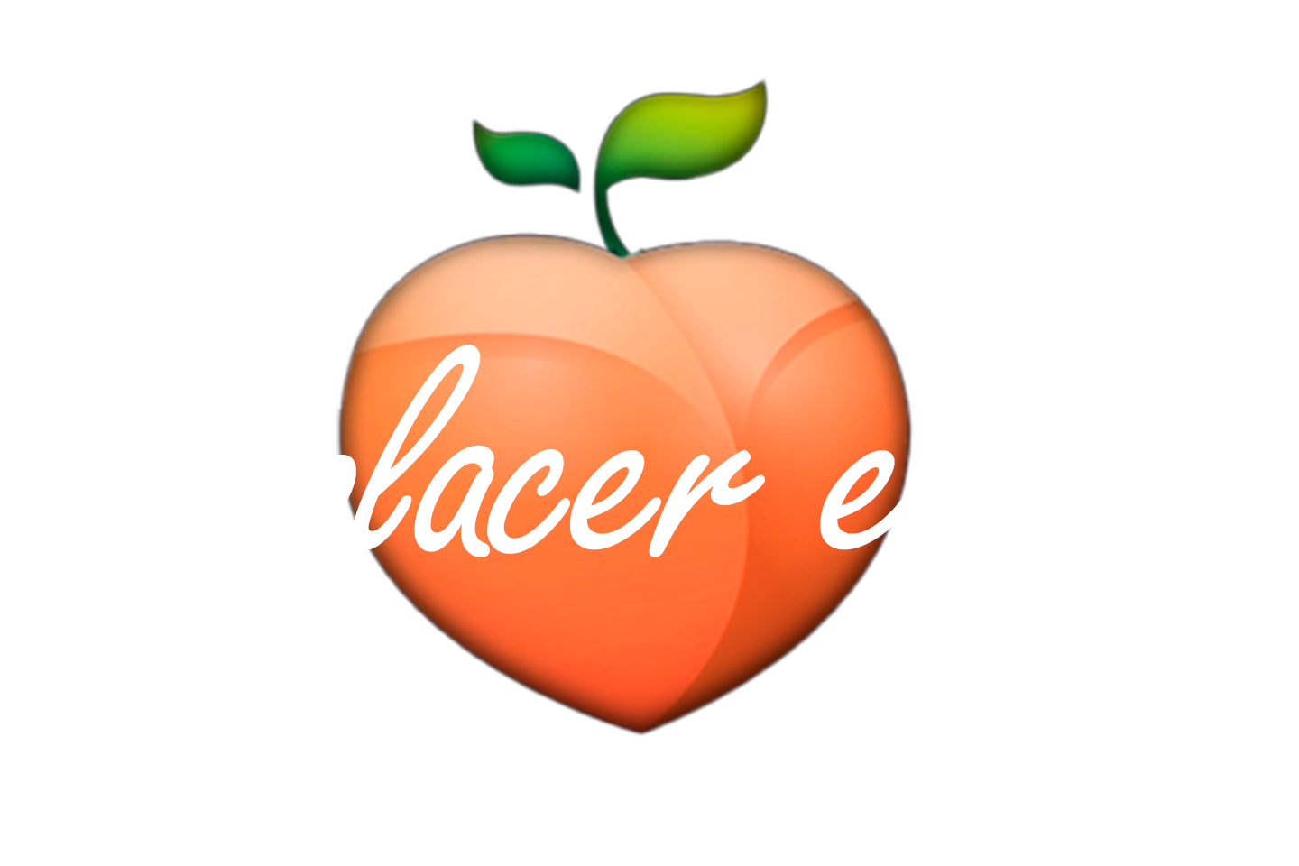 logotipo el placer es mio